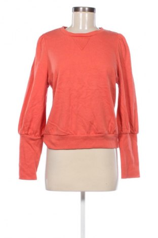 Damen Shirt Who What Wear, Größe M, Farbe Orange, Preis 33,99 €