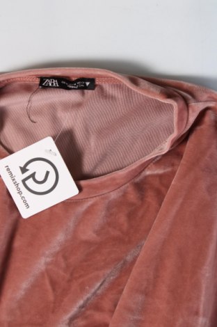 Damen Shirt Zara, Größe M, Farbe Rosa, Preis € 9,99