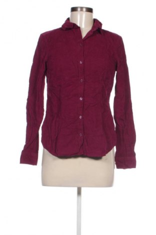 Damenbluse Montego, Größe S, Farbe Lila, Preis 8,49 €