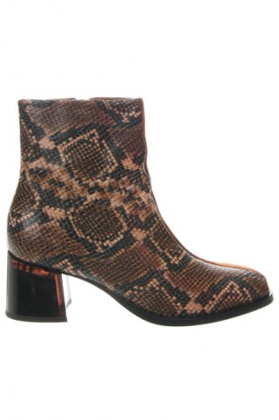 Botine de damă Scotch & Soda, Mărime 41, Culoare Multicolor, Preț 748,99 Lei