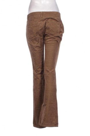 Damen Cordhose Ann Taylor, Größe M, Farbe Braun, Preis € 9,99