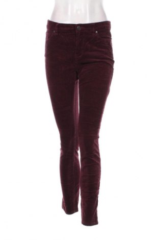 Damen Cordhose Buffalo, Größe S, Farbe Rot, Preis € 5,49