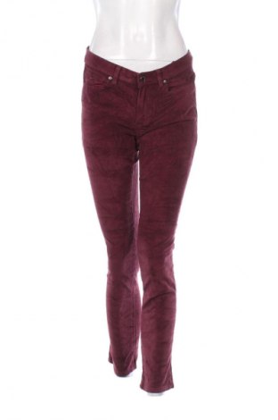 Damen Cordhose Calvin Klein Jeans, Größe M, Farbe Rot, Preis € 13,99