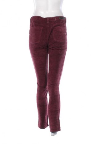 Damen Cordhose Calvin Klein Jeans, Größe M, Farbe Rot, Preis 8,99 €