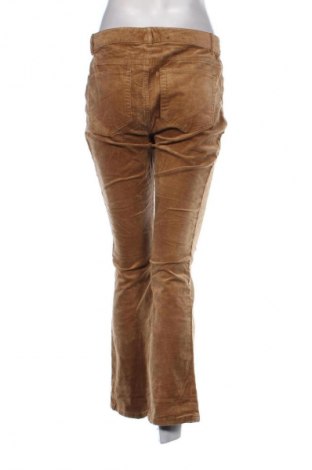 Pantaloni de velvet de femei Chaps, Mărime M, Culoare Bej, Preț 95,99 Lei