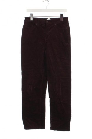 Pantaloni de velvet de femei Croft & Barrow, Mărime S, Culoare Maro, Preț 33,99 Lei