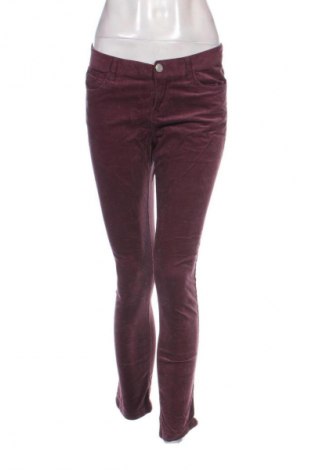 Pantaloni de velvet de femei Jean Pascale, Mărime M, Culoare Mov, Preț 29,99 Lei