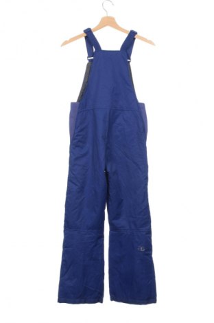 Damenoverall für Wintersport Arctix, Größe M, Farbe Blau, Preis € 66,99