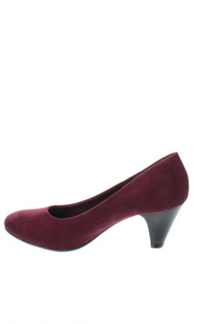 Damenschuhe Graceland, Größe 40, Farbe Lila, Preis € 14,49