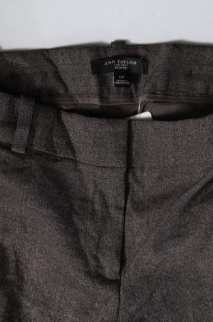 Damenhose Ann Taylor, Größe M, Farbe Braun, Preis € 8,99