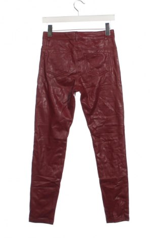 Damenhose Calzedonia, Größe S, Farbe Rot, Preis € 28,99