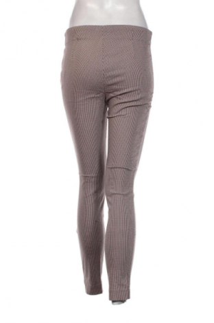 Damenhose Essentials, Größe S, Farbe Mehrfarbig, Preis € 6,49