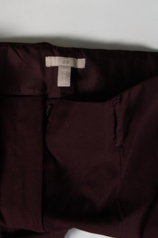 Damenhose H&M, Größe M, Farbe Lila, Preis € 15,49