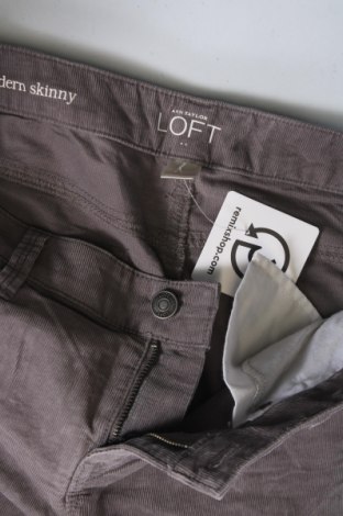 Pantaloni de velvet de femei Loft, Mărime M, Culoare Gri, Preț 102,99 Lei