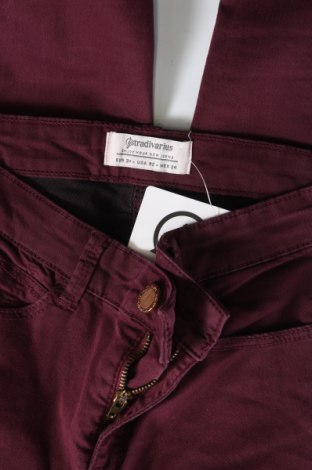 Damenhose Stradivarius, Größe XS, Farbe Lila, Preis € 5,99