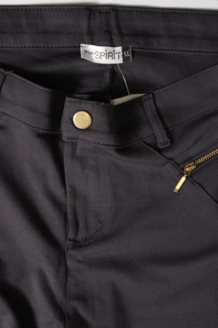 Damenhose True Spirit, Größe XL, Farbe Grau, Preis € 20,49