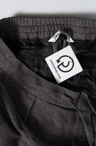 Damenhose Zara, Größe M, Farbe Grau, Preis € 7,99