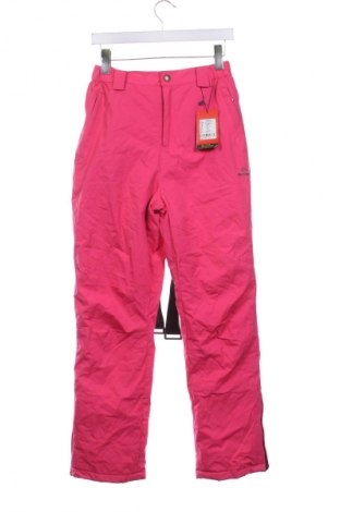 Damenhose für Wintersport, Größe L, Farbe Rosa, Preis € 30,99