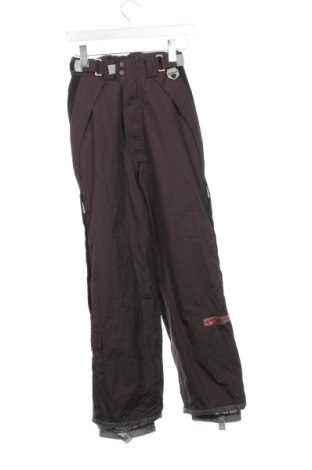 Damenhose für Wintersport Concept, Größe XS, Farbe Braun, Preis 18,99 €