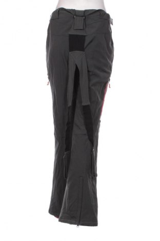 Damenhose für Wintersport Crane, Größe S, Farbe Grau, Preis € 27,49