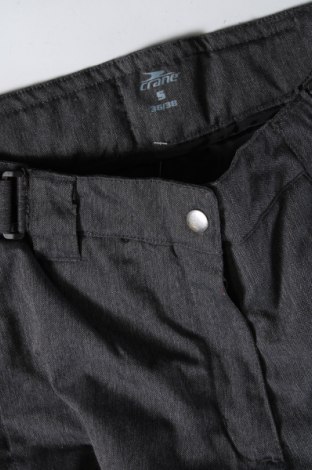 Damenhose für Wintersport Crane, Größe S, Farbe Grau, Preis € 67,99