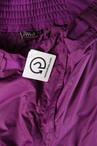 Damenhose für Wintersport Crivit, Größe L, Farbe Lila, Preis € 27,49