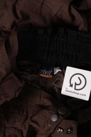 Damenhose für Wintersport Crivit, Größe L, Farbe Braun, Preis € 27,49