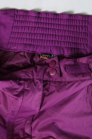 Damenhose für Wintersport Crivit, Größe M, Farbe Lila, Preis € 18,99