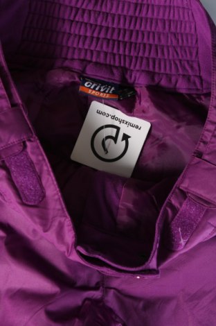 Damenhose für Wintersport Crivit, Größe M, Farbe Lila, Preis € 27,49