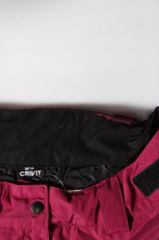 Damenhose für Wintersport Crivit, Größe M, Farbe Rosa, Preis 23,49 €