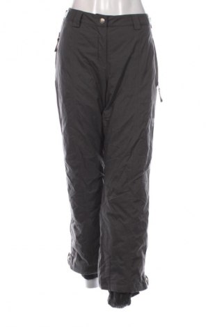 Damenhose für Wintersport Descente, Größe M, Farbe Grau, Preis € 38,49