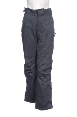 Damenhose für Wintersport Karbon, Größe L, Farbe Grau, Preis 18,99 €