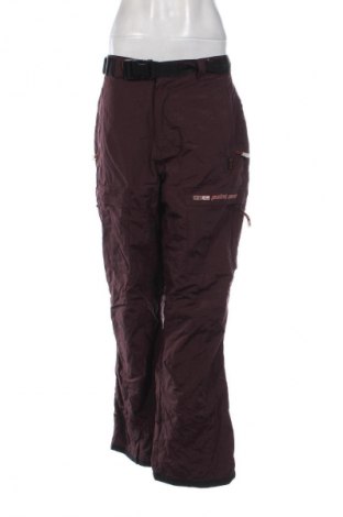 Damenhose für Wintersport Point Zero, Größe M, Farbe Rot, Preis 61,99 €