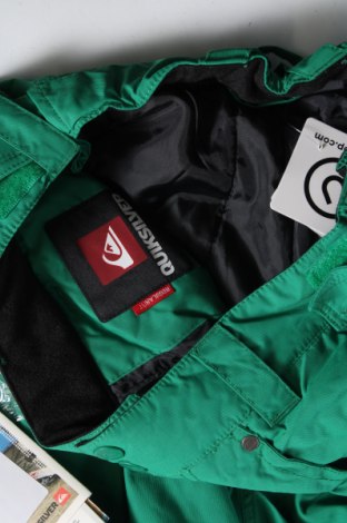 Damenhose für Wintersport Quiksilver, Größe L, Farbe Grün, Preis € 141,49