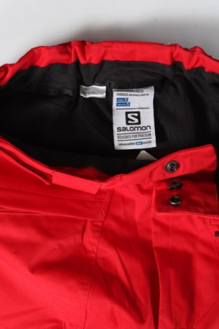 Damenhose für Wintersport Salomon, Größe S, Farbe Rot, Preis 189,99 €