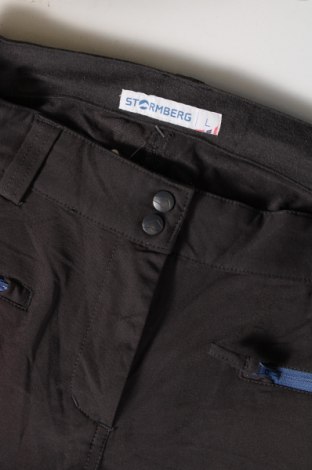 Damenhose für Wintersport Stormberg, Größe L, Farbe Grau, Preis € 28,99