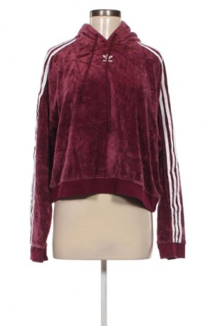 Damen Sweatshirt Adidas Originals, Größe XL, Farbe Lila, Preis 28,99 €