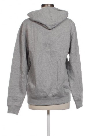 Damen Sweatshirt Pepe Jeans, Größe L, Farbe Grau, Preis € 27,49