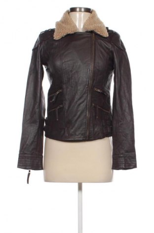 Damen Lederjacke Pepe Jeans, Größe S, Farbe Braun, Preis € 71,49