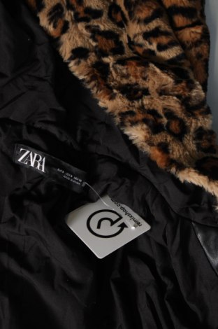 Γυναικείο παλτό Zara, Μέγεθος S, Χρώμα Πολύχρωμο, Τιμή 42,49 €