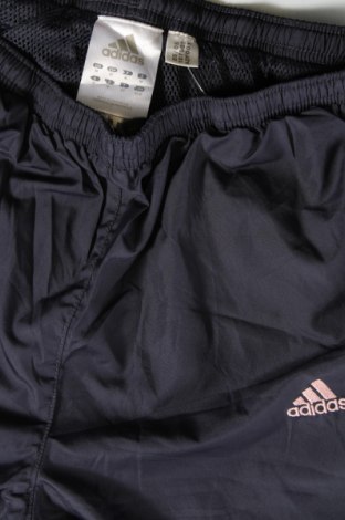 Damskie spodnie sportowe Adidas, Rozmiar M, Kolor Niebieski, Cena 73,99 zł