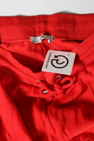 Damen Sporthose C&A, Größe S, Farbe Rot, Preis € 10,49