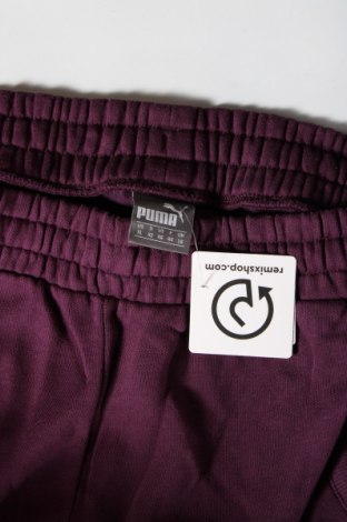 Damen Sporthose PUMA, Größe XL, Farbe Lila, Preis € 28,99