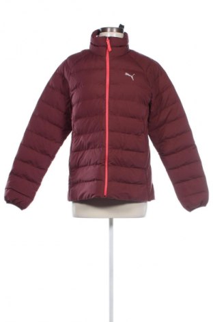 Damenjacke PUMA, Größe L, Farbe Rot, Preis € 44,99