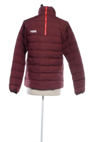 Damenjacke PUMA, Größe L, Farbe Rot, Preis € 44,99