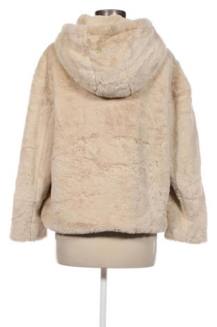 Damenjacke Zara, Größe S, Farbe Beige, Preis 28,99 €