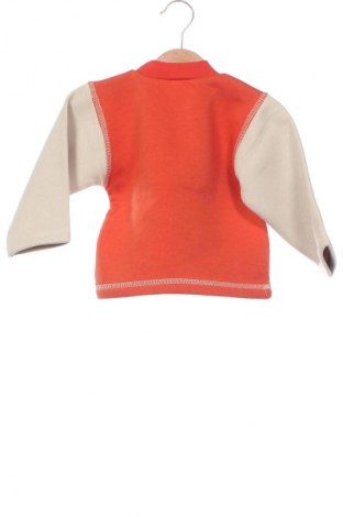 Kinder Shirt, Größe 12-18m/ 80-86 cm, Farbe Mehrfarbig, Preis € 4,99