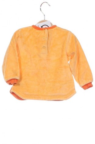 Kinder Shirt, Größe 6-9m/ 68-74 cm, Farbe Mehrfarbig, Preis € 3,99