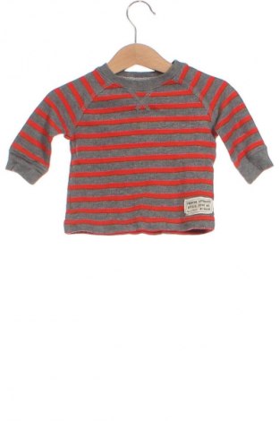 Kinder Shirt Carter's, Größe 2-3m/ 56-62 cm, Farbe Mehrfarbig, Preis € 5,99