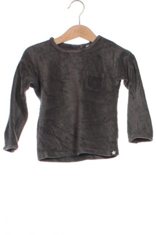 Kinder Shirt Gerber, Größe 9-12m/ 74-80 cm, Farbe Grau, Preis 6,99 €